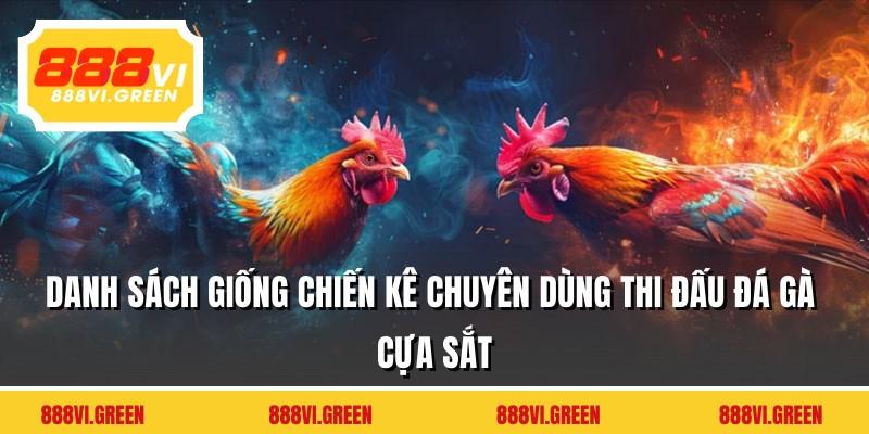 Danh sách giống chiến kê chuyên dùng thi đấu đá gà cựa sắt