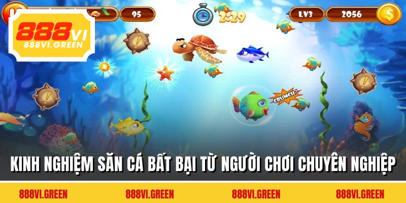 Kinh nghiệm săn cá bất bại từ người chơi chuyên nghiệp